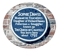 a blue plaque with information of Sophie Dawes's birthplace