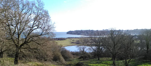 St Helens Duver leafy, wooded landscape with blue water and sea glimpses beyond.