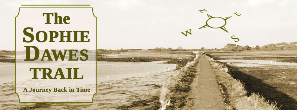 marshy landscape photo in sepia with long path straight ahead along a causeway